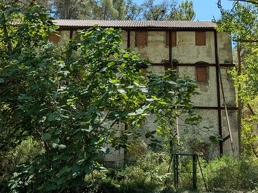 31_moli