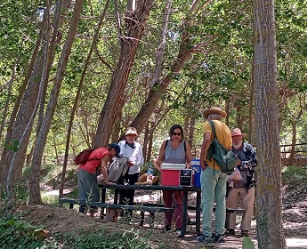 34_Picnic.jpg