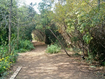 L'hort d'Almenar (Burjassot, L'Horta Nord)