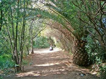 L'hort d'Almenar (Burjassot, L'Horta Nord)