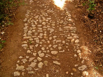 L'hort d'Almenar (Burjassot, L'Horta Nord)