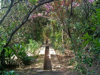 L'hort d'Almenar (Burjassot, L'Horta Nord)