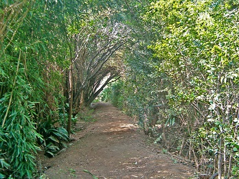 L'hort d'Almenar (Burjassot, L'Horta Nord)