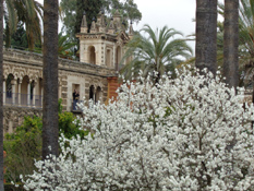 Reales Alcázares de Sevilla