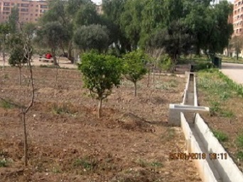Parc de Malilla