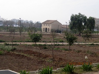 Parc de Malilla